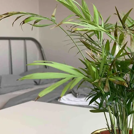 Modern In The Center Of Wroclaw! * ヴロツワフ