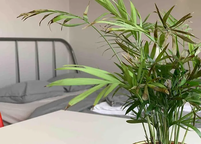 Modern In The Center Of Wroclaw! * ヴロツワフ